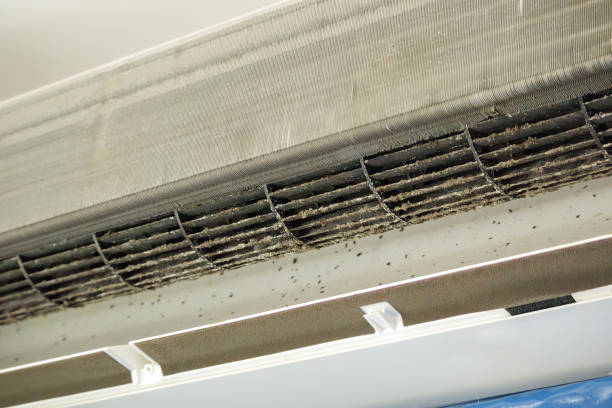 Best Duct Repair and Sealing Services in Mogadore, OH